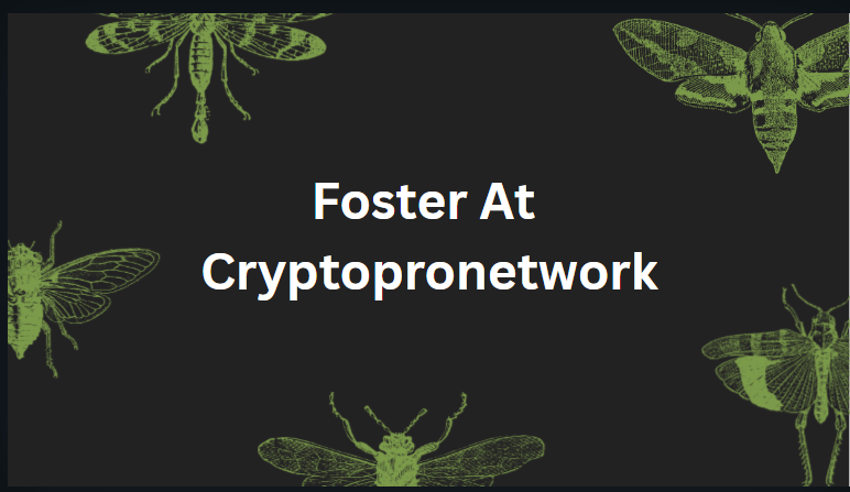 Foster at CryptoProNetwork